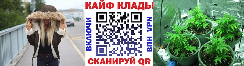 Купить закладку МЕТАДОН  Меф  Гашиш  Cocaine  Балахна