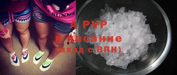 стафф Алексин